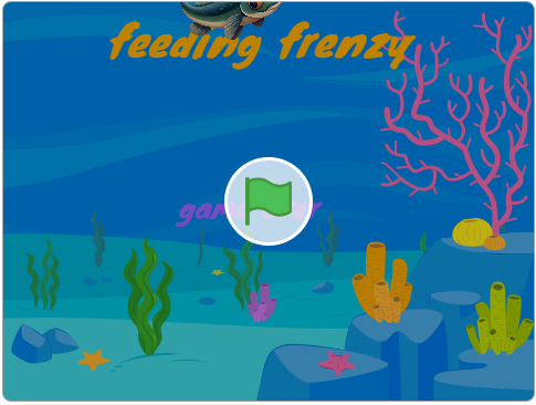 feeding frenzy